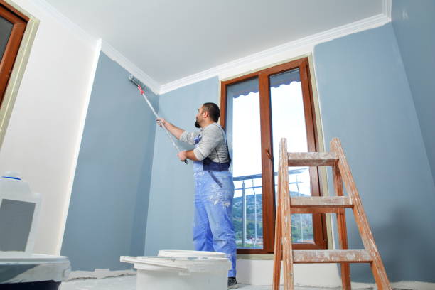 Best Environmental Consulting for Mold Prevention  in Warrensburg, MO