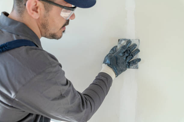 Best Comprehensive Air Testing for Mold Contaminants  in Warrensburg, MO