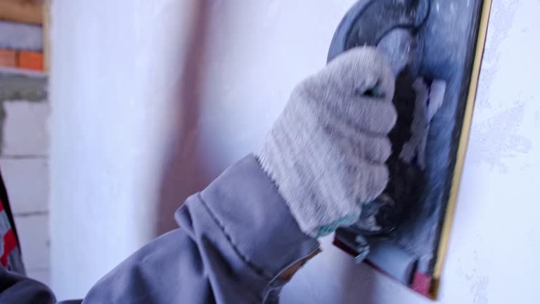 Best Emergency Mold Remediation  in Warrensburg, MO