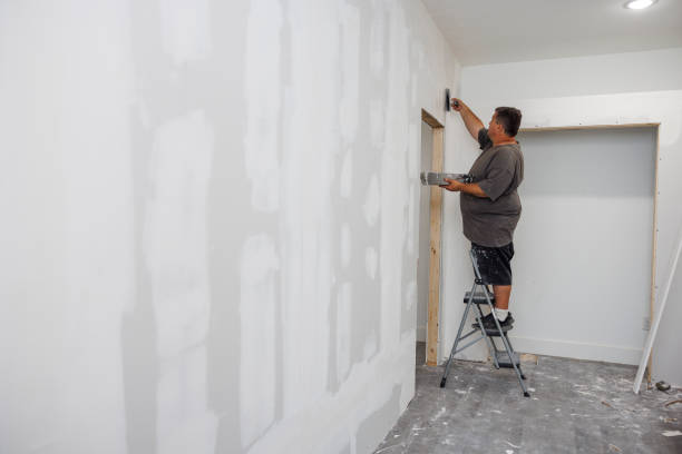 Best Water Damage & Mold Remediation  in Warrensburg, MO
