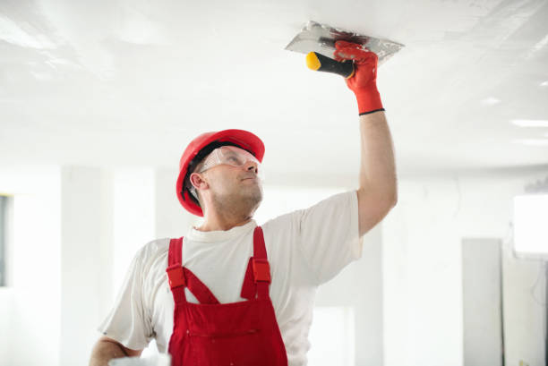 Warrensburg, MO Mold Removal Company