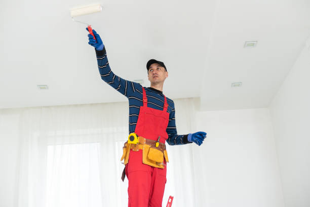 Best Mold Documentation for Insurance Claims  in Warrensburg, MO