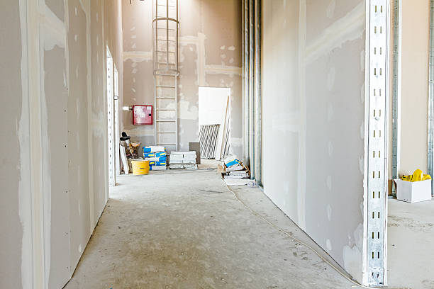 Biohazard Mold Removal in Warrensburg, MO