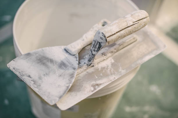 Best Asbestos and Lead Testing During Mold Inspection  in Warrensburg, MO