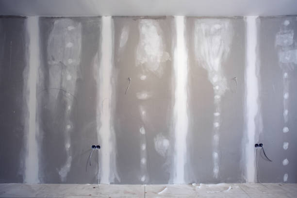 Best Industrial Mold Remediation  in Warrensburg, MO